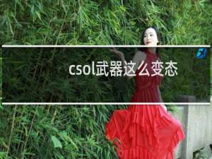 csol武器这么变态