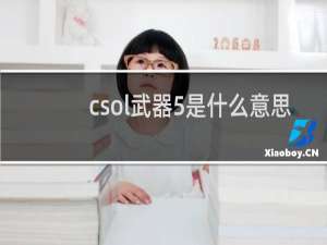 csol武器5是什么意思