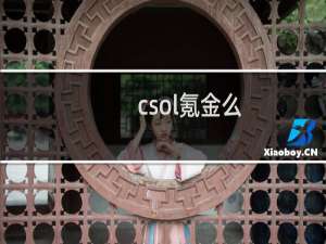 csol氪金么