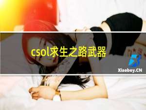 csol求生之路武器（csol求生模式）