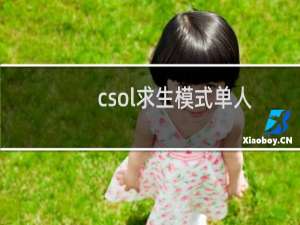 csol求生模式单人