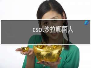 csol沙拉哪国人