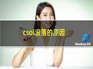 csol没落的原因