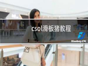 csol滑板猪教程