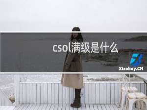 csol满级是什么