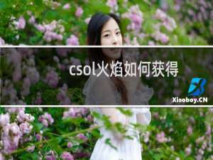 csol火焰如何获得