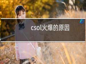 csol火爆的原因