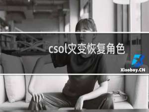 csol灾变恢复角色