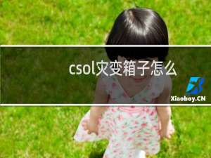 csol灾变箱子怎么