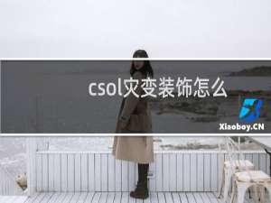 csol灾变装饰怎么