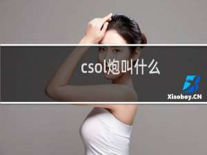 csol炮叫什么