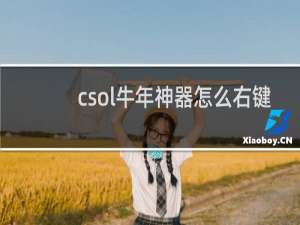 csol牛年神器怎么右键