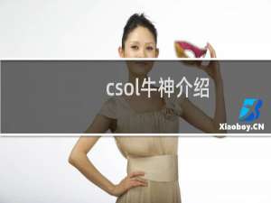 csol牛神介绍