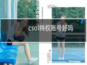 csol特权账号好吗