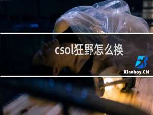 csol狂野怎么换