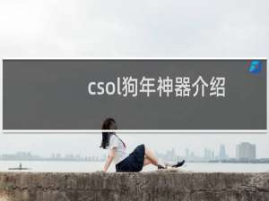 csol狗年神器介绍