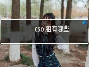 csol狙有哪些