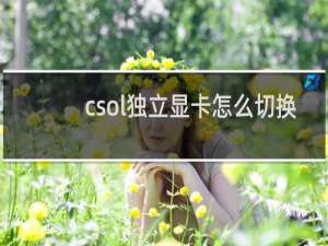 csol独立显卡怎么切换