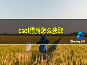 csol猎鹰怎么获取