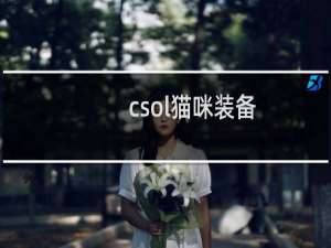 csol猫咪装备