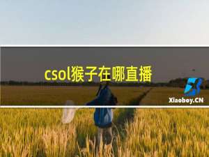 csol猴子在哪直播