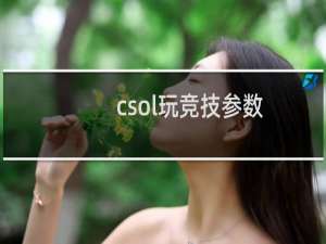 csol玩竞技参数