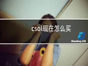 csol现在怎么买