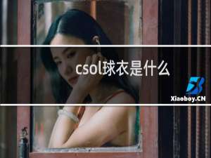 csol球衣是什么