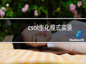 csol生化模式实录