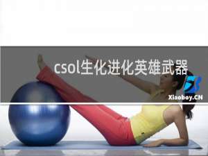 csol生化进化英雄武器