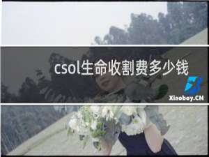 csol生命收割费多少钱