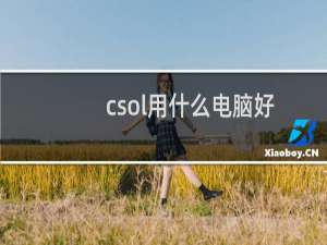csol用什么电脑好