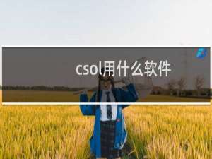 csol用什么软件