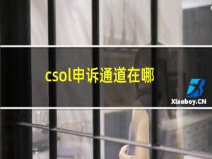 csol申诉通道在哪