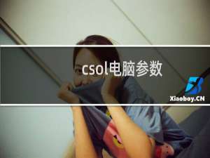 csol电脑参数