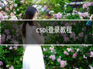 csol登录教程