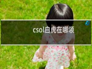 csol白虎在哪领