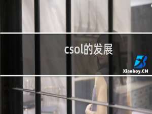 csol的发展