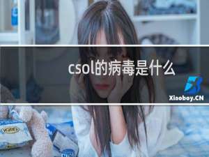 csol的病毒是什么