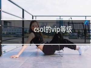 csol的vip等级