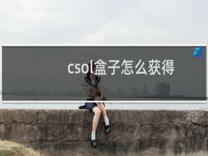csol盒子怎么获得