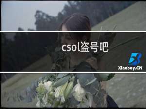 csol盗号吧