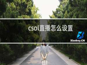 csol直播怎么设置