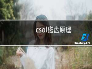 csol磁盘原理