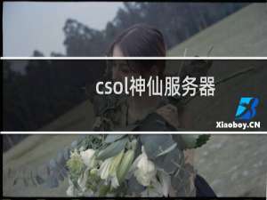 csol神仙服务器