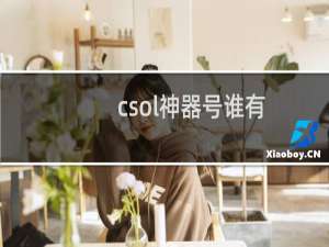 csol神器号谁有