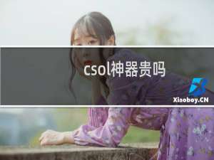 csol神器贵吗