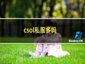 csol私服多吗