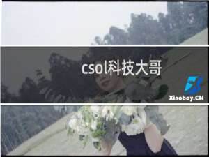 csol科技大哥