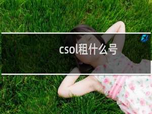 csol租什么号